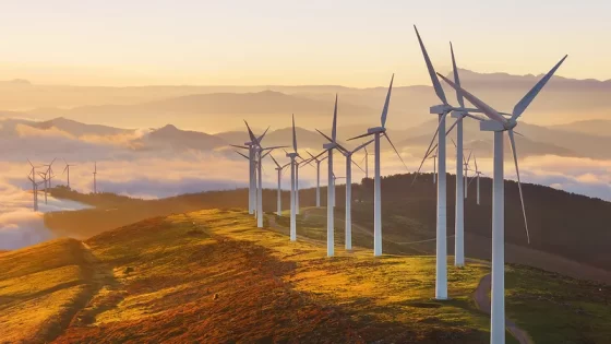 Renewable Energy: A Pathway to a Sustainable Future